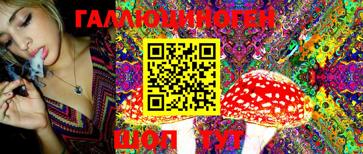 Карачаевск  Галлюциногенные грибы MAGIC MUSHROOMS  Вход с VPN 